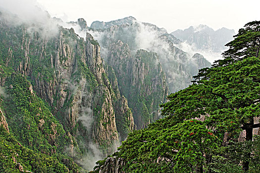 介绍三座仑在淘宝上叫什么C1B8D97C5-18975